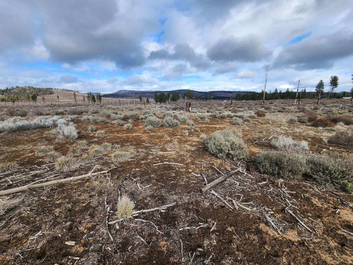 Decorative background for Level Ground, Open Skies — Your Off-Grid Canvas in Klamath Forest Estates image 9