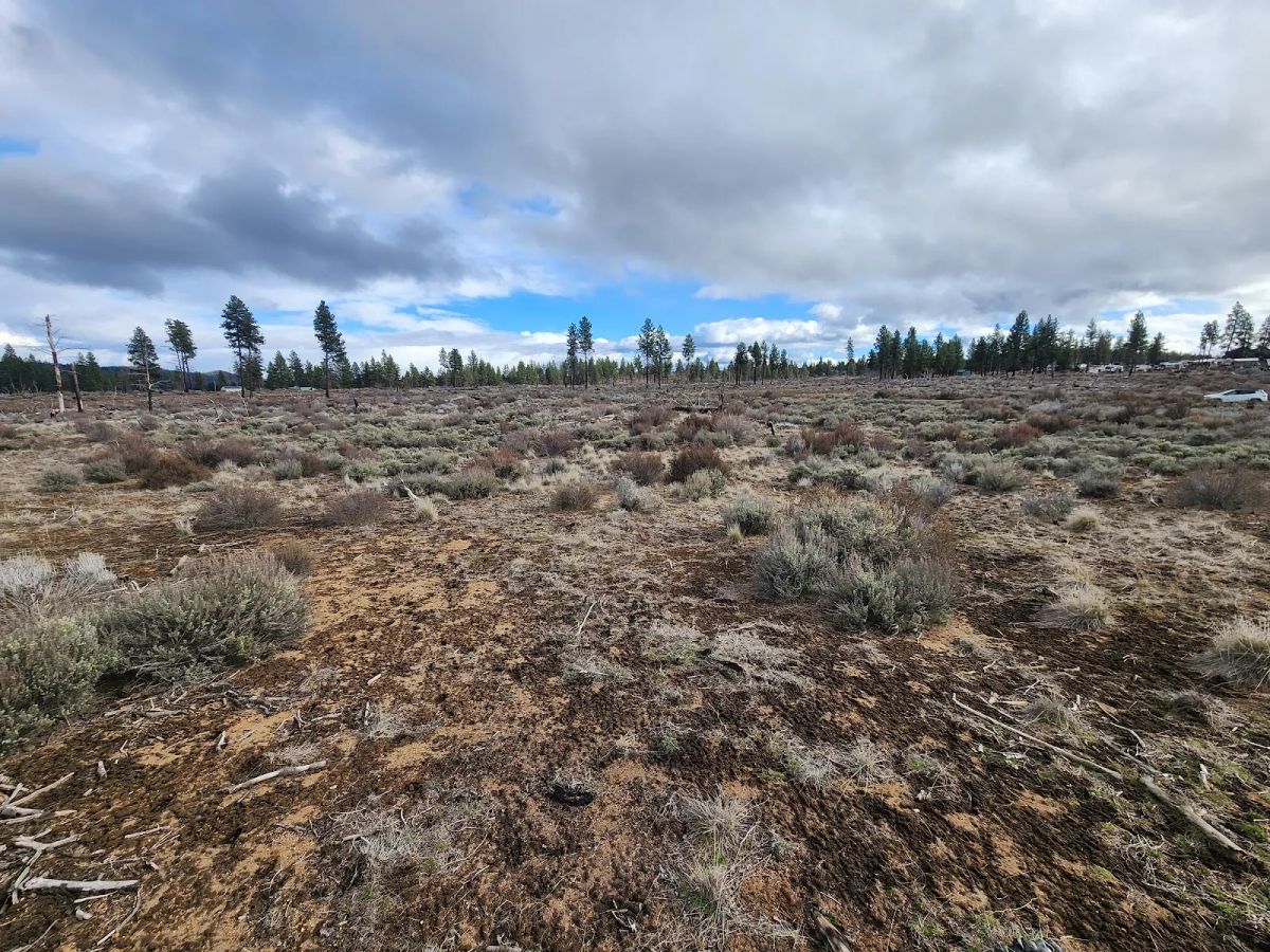 Decorative background for Level Ground, Open Skies — Your Off-Grid Canvas in Klamath Forest Estates image 10