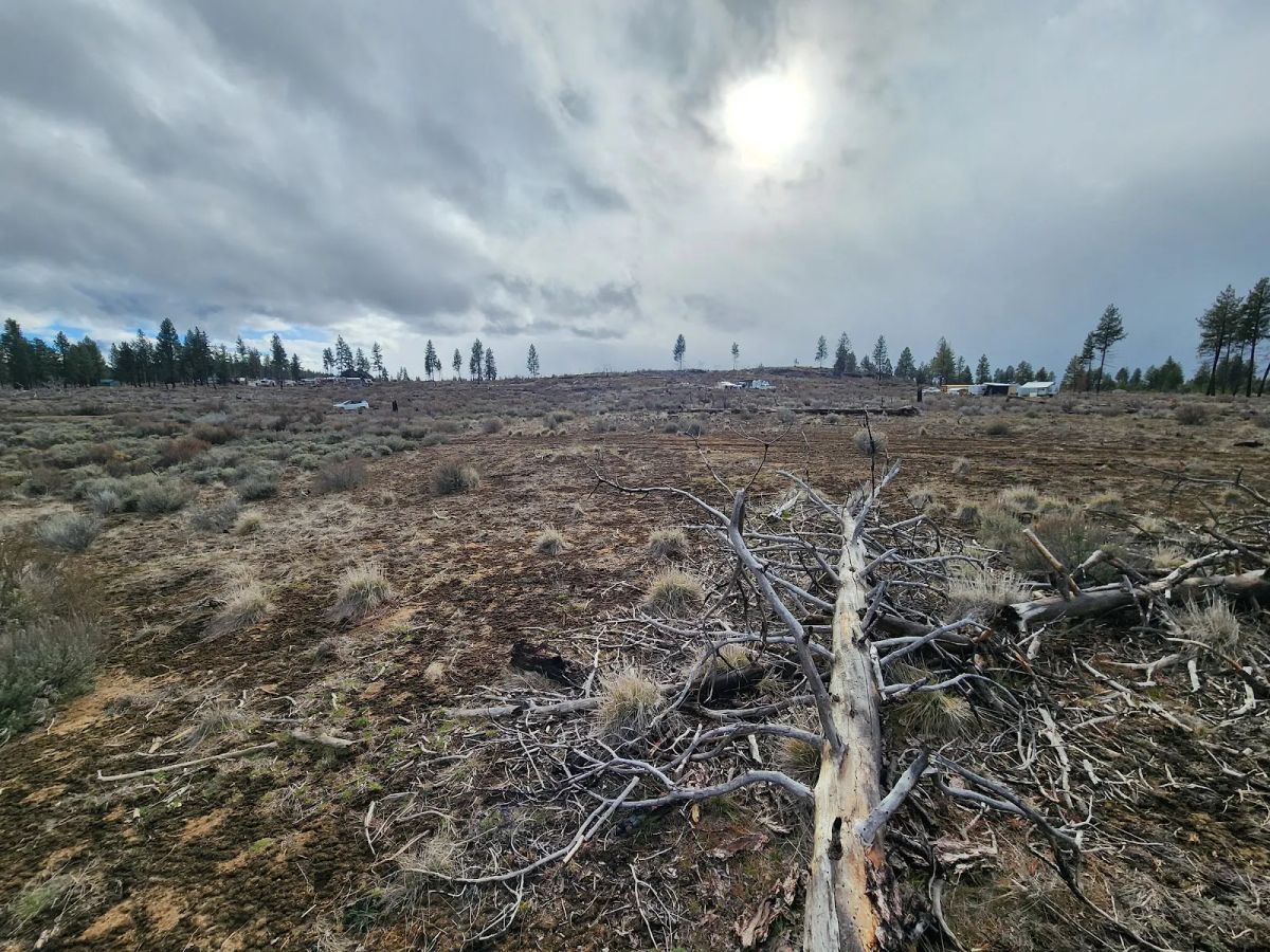 Decorative background for Level Ground, Open Skies — Your Off-Grid Canvas in Klamath Forest Estates image 11