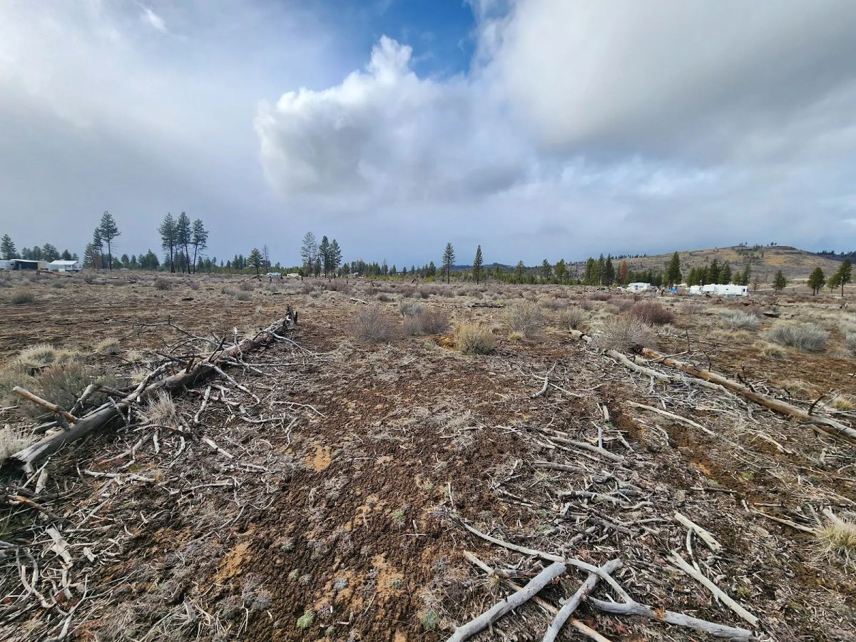 Decorative background for Level Ground, Open Skies — Your Off-Grid Canvas in Klamath Forest Estates image 12