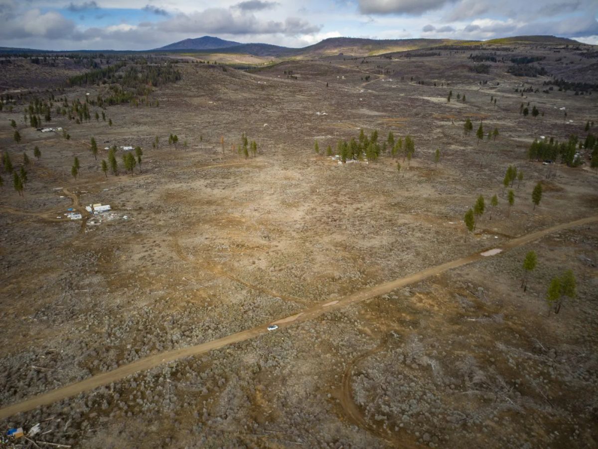 Decorative background for Level Ground, Open Skies — Your Off-Grid Canvas in Klamath Forest Estates image 13