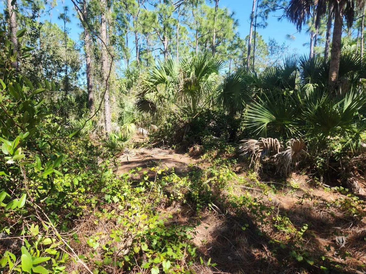 0.22-Acre Double Lot in Tropical Gulf Acres - Main image