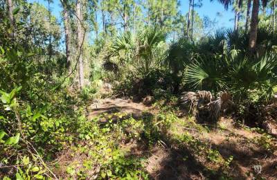 0.22-Acre Double Lot in Tropical Gulf Acres