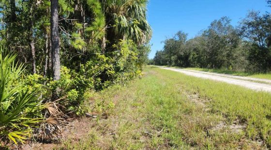 0.22-Acre Double Lot in Tropical Gulf Acres in Charlotte County, FL