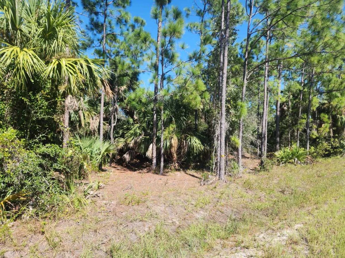 0.22-Acre Double Lot in Tropical Gulf Acres - Image 4