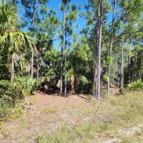 0.22-Acre Double Lot in Tropical Gulf Acres in Charlotte County, FL