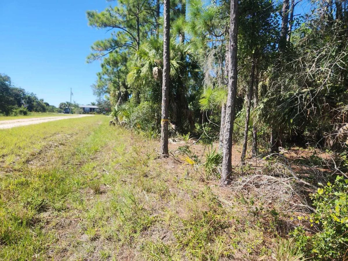 Decorative background for 0.22-Acre Double Lot in Tropical Gulf Acres image 6