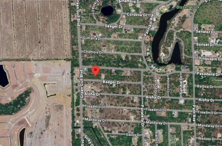 Decorative background for 0.22-Acre Double Lot in Tropical Gulf Acres image 7