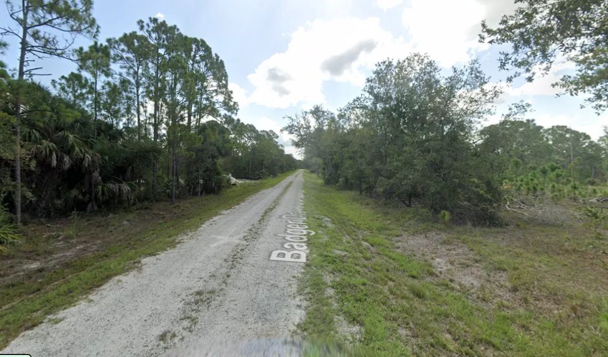 Decorative background for 0.22-Acre Double Lot in Tropical Gulf Acres image 11