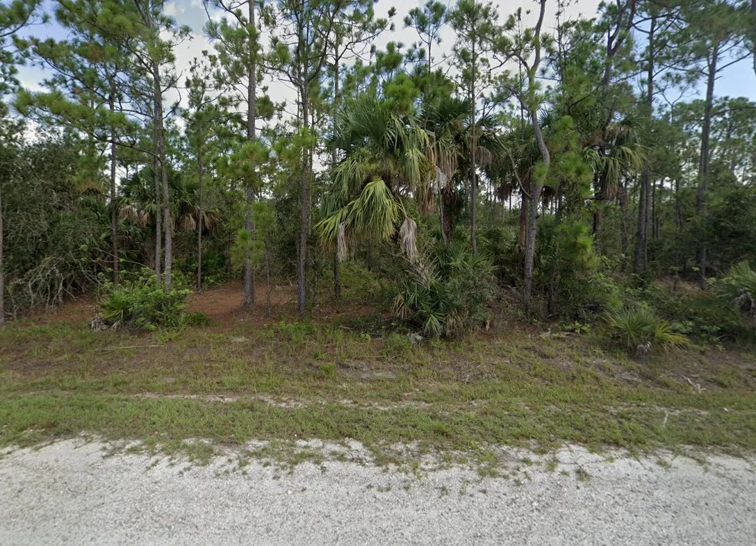 Decorative background for 0.22-Acre Double Lot in Tropical Gulf Acres image 12