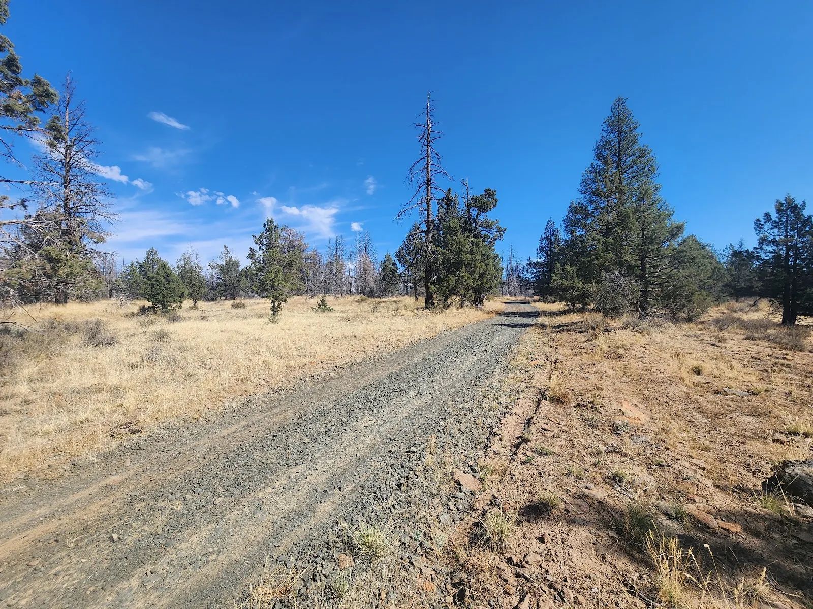 Your Own 2.06 Acres Near Bonanza for Only $299/Month