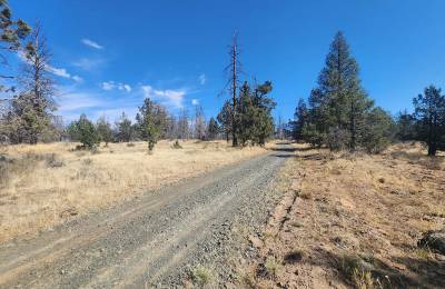 Your Own 2.06 Acres Near Bonanza for Only $299/Month