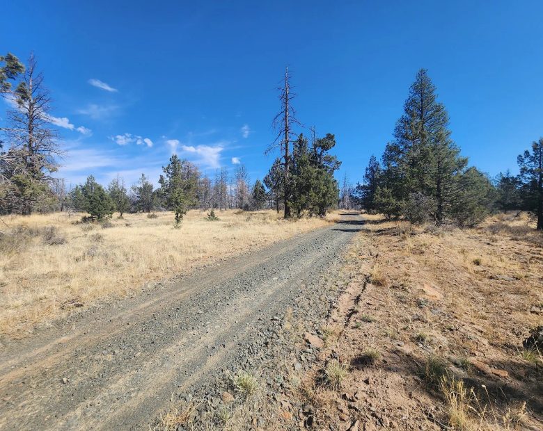 Your Own 2.06 Acres Near Bonanza for Only $299/Month in Klamath County, OR