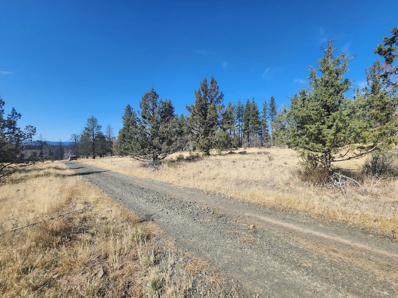 Your Own 2.06 Acres Near Bonanza for Only $299/Month in Klamath County, OR