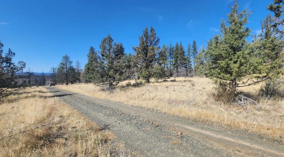 Your Own 2.06 Acres Near Bonanza for Only $299/Month in Klamath County, OR
