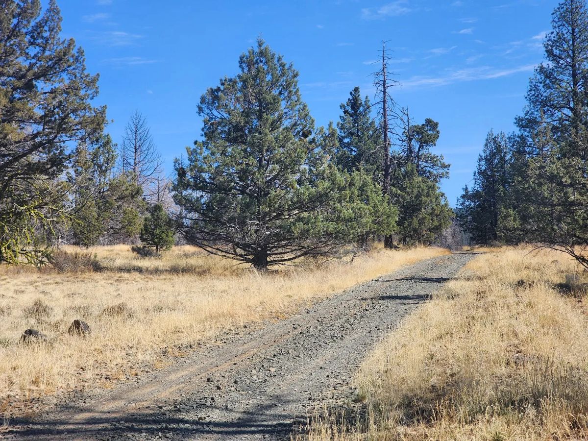 Decorative background for Your Own 2.06 Acres Near Bonanza for Only $299/Month image 6