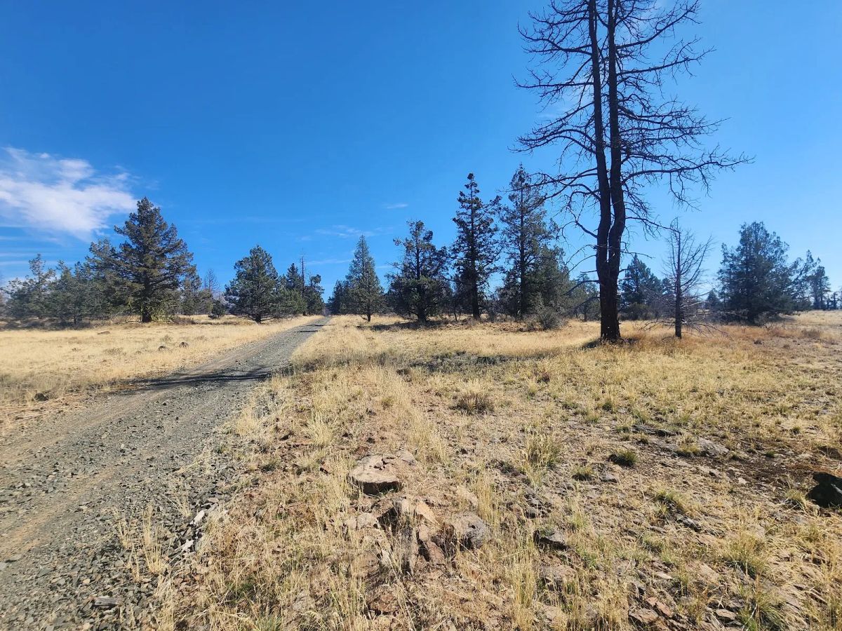 Decorative background for Your Own 2.06 Acres Near Bonanza for Only $299/Month image 7