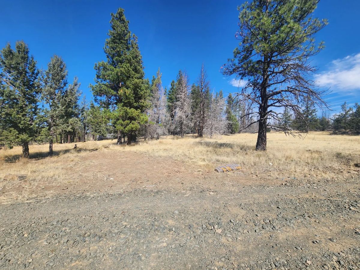 Decorative background for Your Own 2.06 Acres Near Bonanza for Only $299/Month image 9