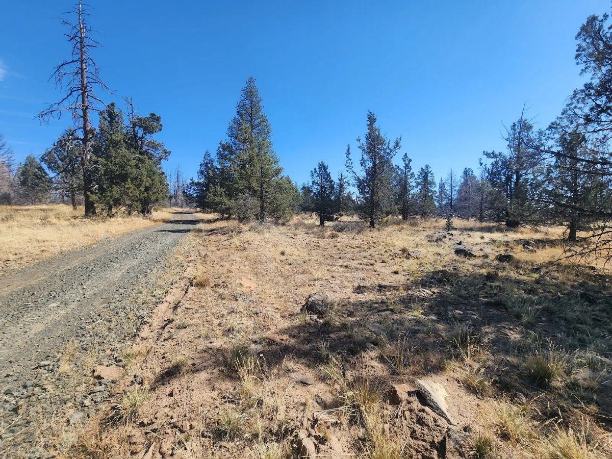 Decorative background for Your Own 2.06 Acres Near Bonanza for Only $299/Month image 11