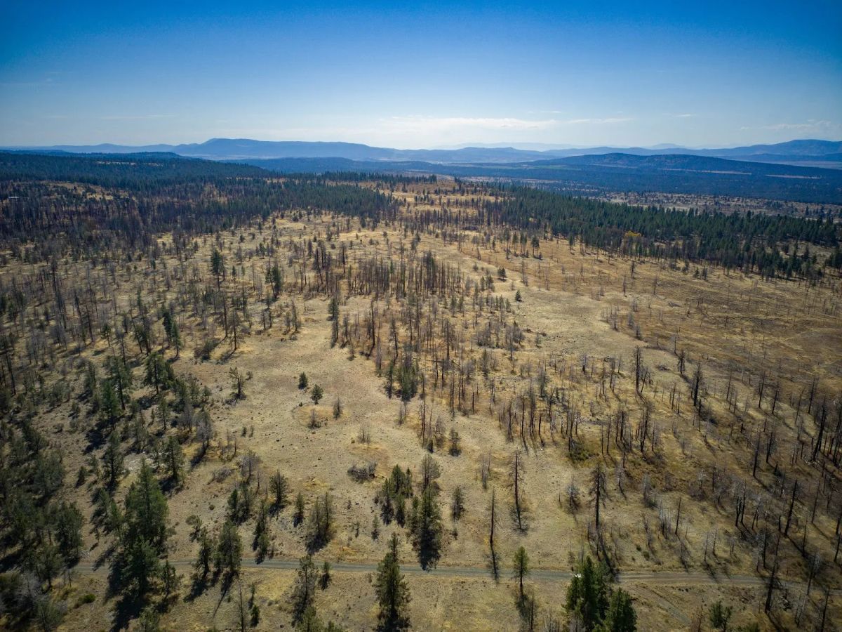 Decorative background for Your Own 2.06 Acres Near Bonanza for Only $299/Month image 12