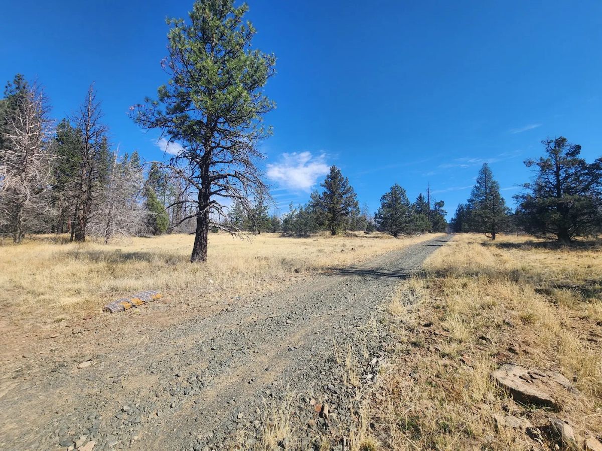 Decorative background for Your Own 2.06 Acres Near Bonanza for Only $299/Month image 13