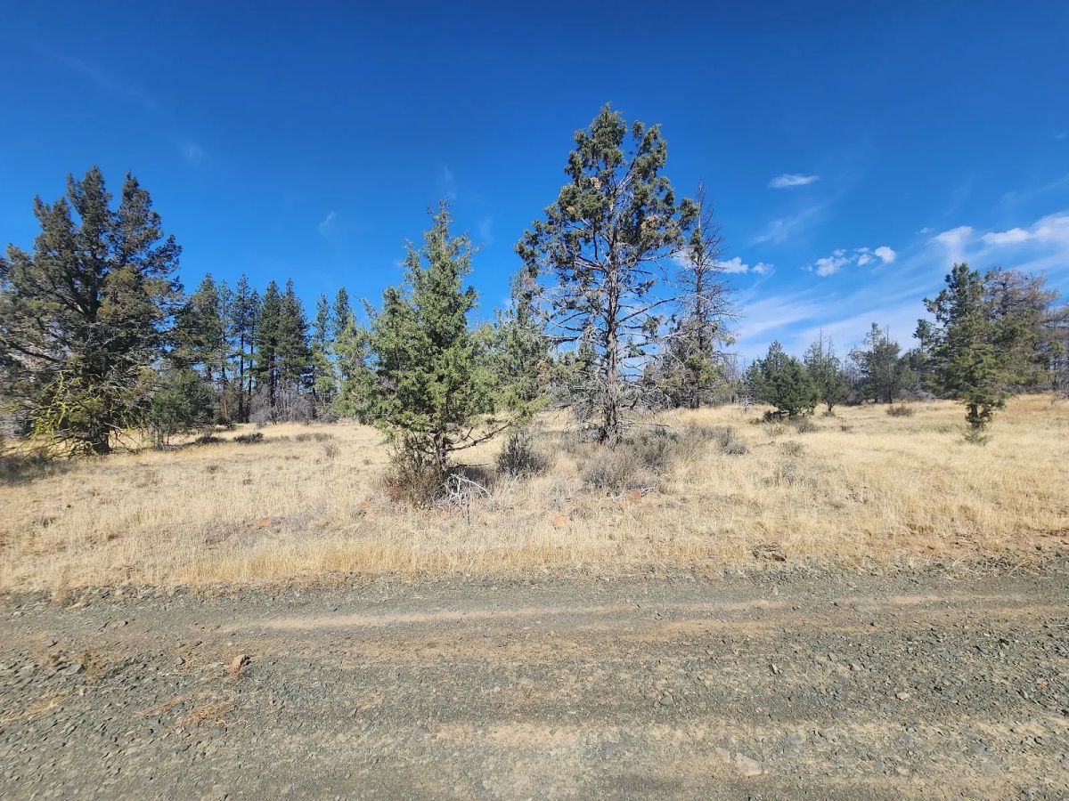 Decorative background for Your Own 2.06 Acres Near Bonanza for Only $299/Month image 15