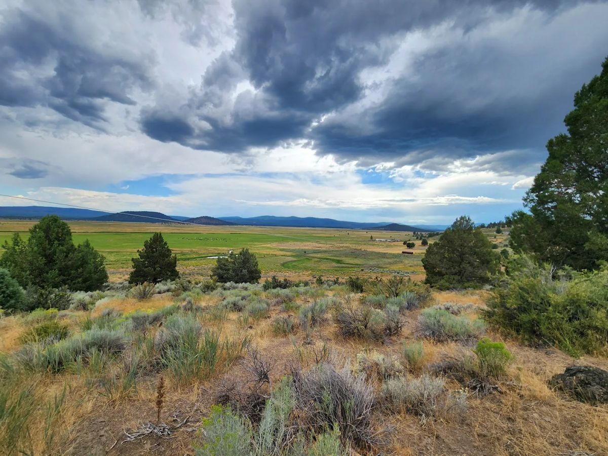 Decorative background for Double the Land, Double the Freedom — 3+ Acres in Sprague River Valley image 5