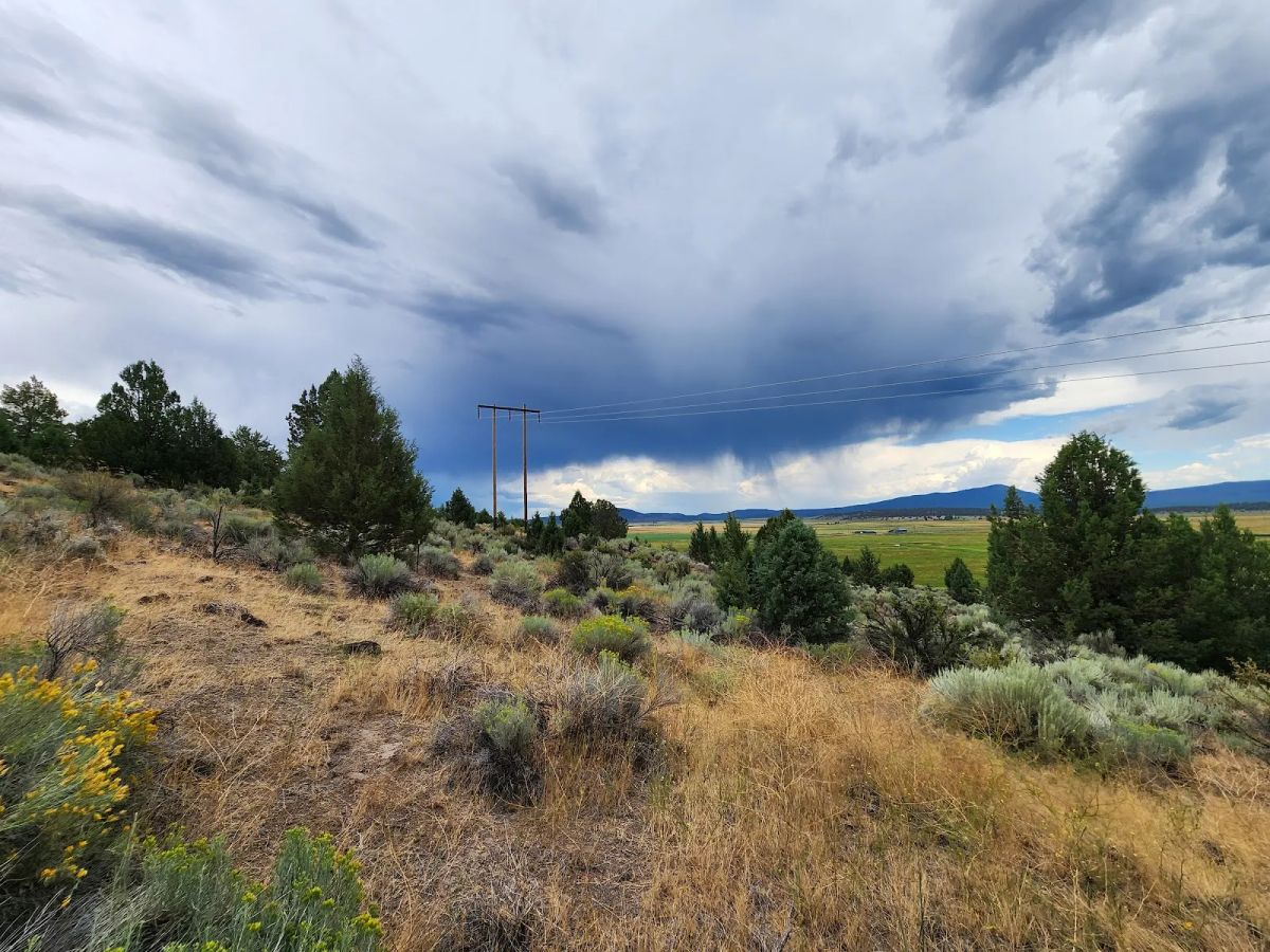 Decorative background for Double the Land, Double the Freedom — 3+ Acres in Sprague River Valley image 6