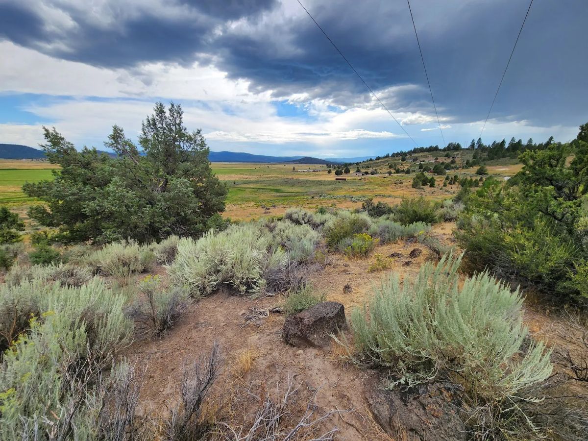 Decorative background for Double the Land, Double the Freedom — 3+ Acres in Sprague River Valley image 7
