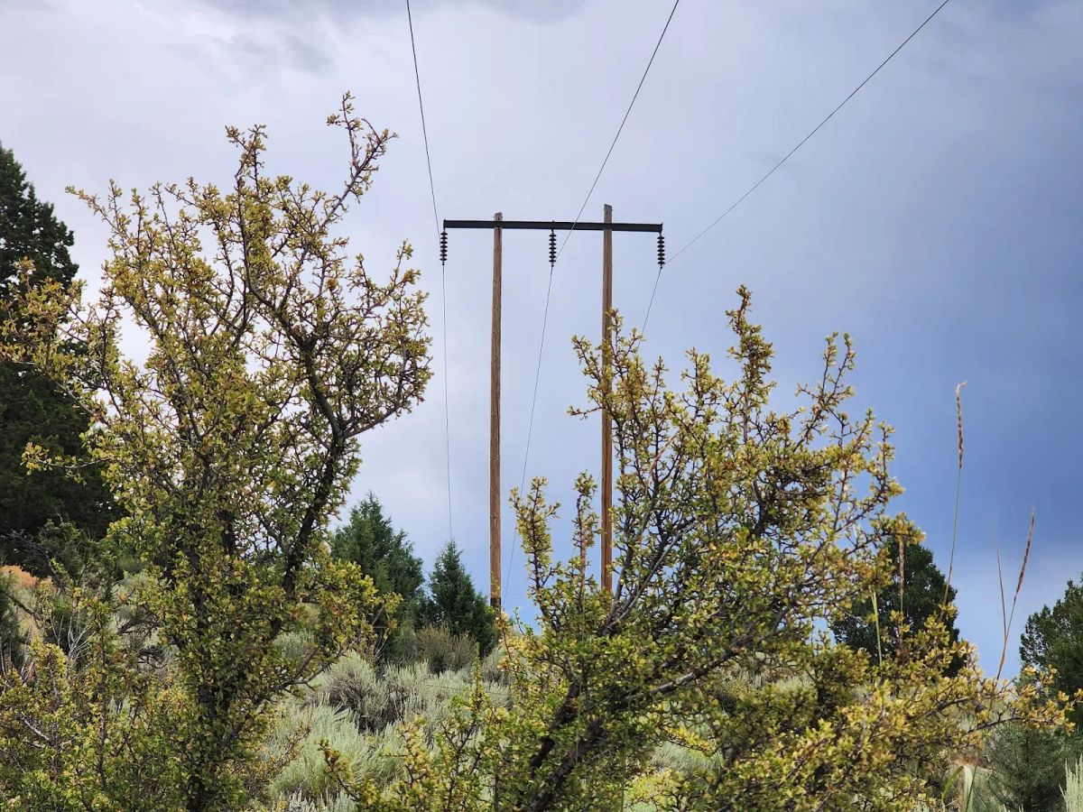 Decorative background for Double the Land, Double the Freedom — 3+ Acres in Sprague River Valley image 8