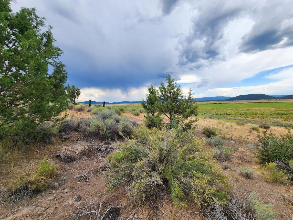 Decorative background for Double the Land, Double the Freedom — 3+ Acres in Sprague River Valley image 9