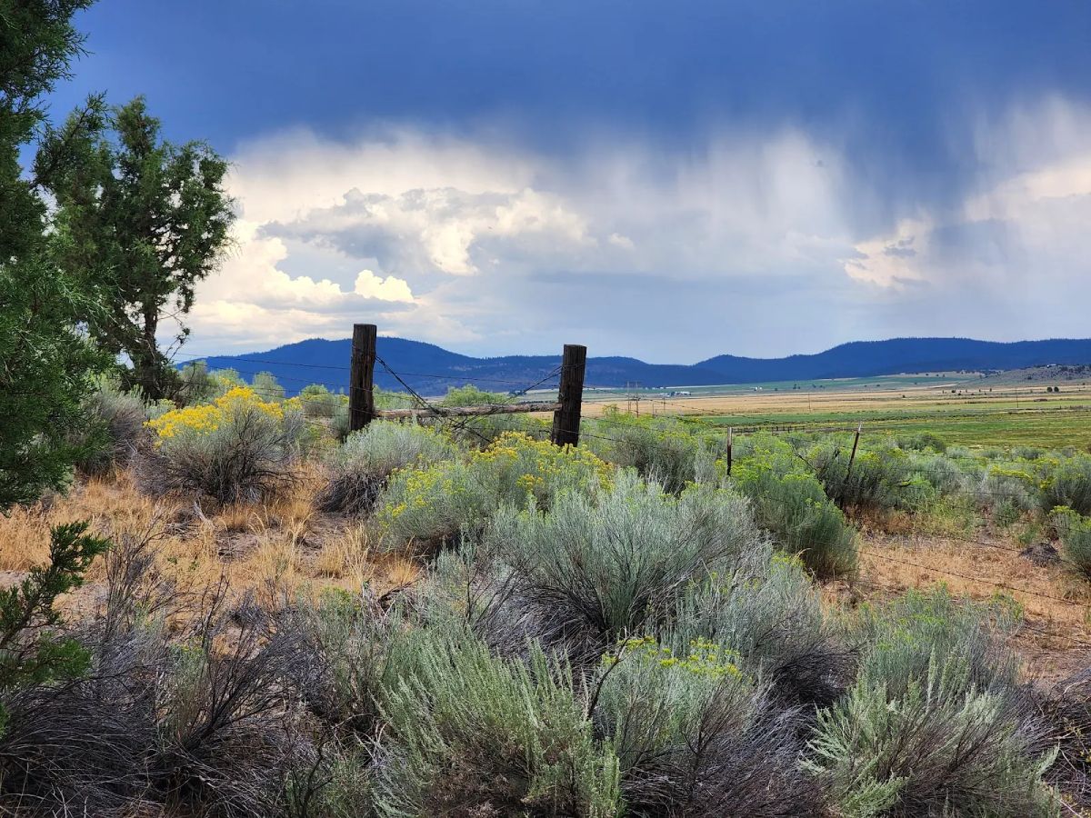 Decorative background for Double the Land, Double the Freedom — 3+ Acres in Sprague River Valley image 10