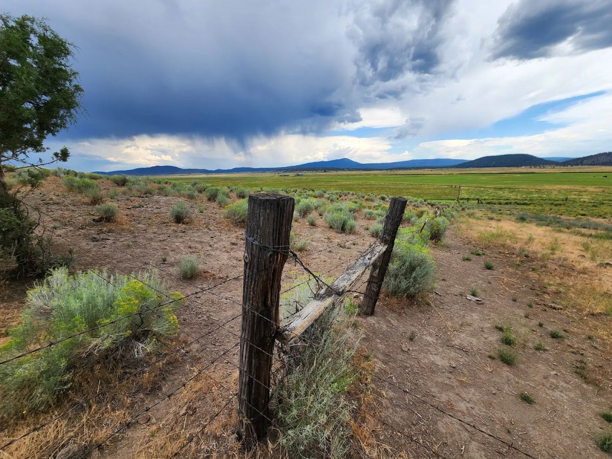 Decorative background for Double the Land, Double the Freedom — 3+ Acres in Sprague River Valley image 11