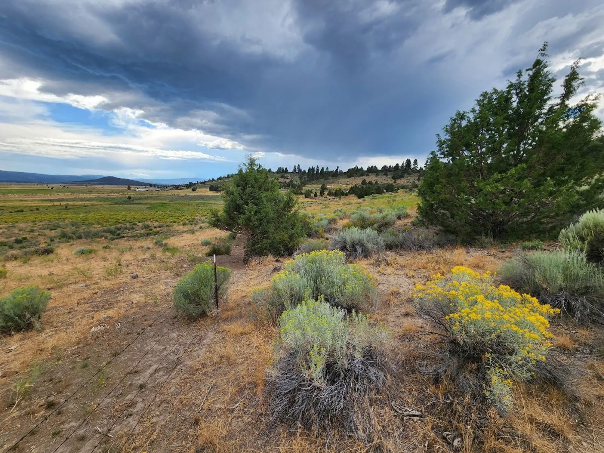 Decorative background for Double the Land, Double the Freedom — 3+ Acres in Sprague River Valley image 12