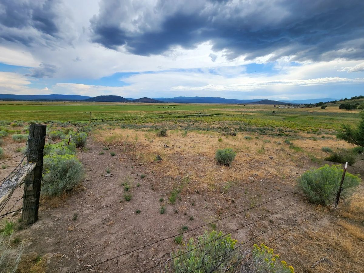 Decorative background for Double the Land, Double the Freedom — 3+ Acres in Sprague River Valley image 13