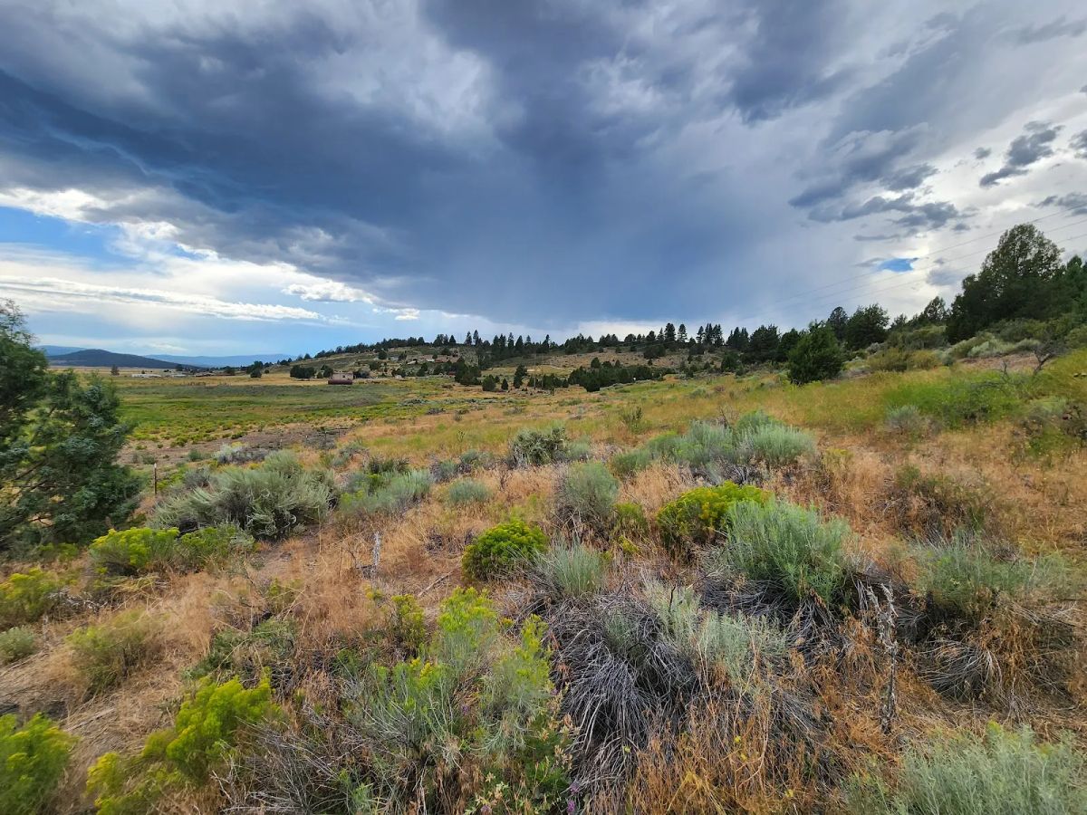 Decorative background for Double the Land, Double the Freedom — 3+ Acres in Sprague River Valley image 14