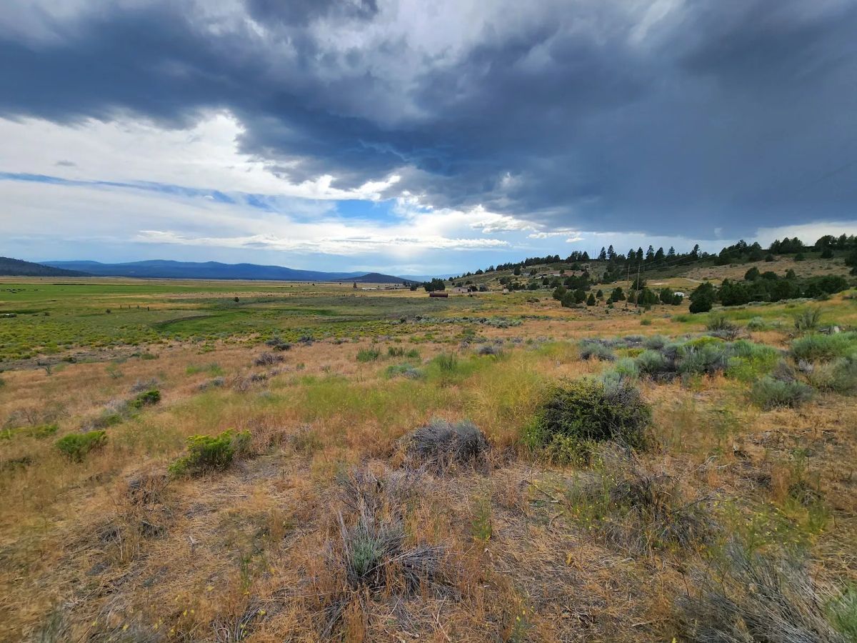 Decorative background for Double the Land, Double the Freedom — 3+ Acres in Sprague River Valley image 15