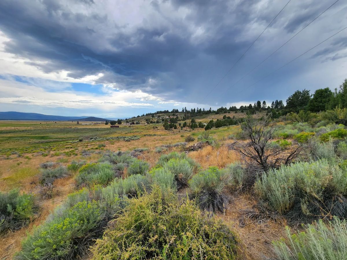 Decorative background for Double the Land, Double the Freedom — 3+ Acres in Sprague River Valley image 16