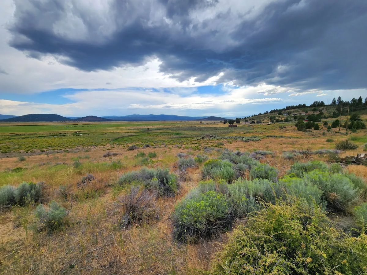 Decorative background for Double the Land, Double the Freedom — 3+ Acres in Sprague River Valley image 17