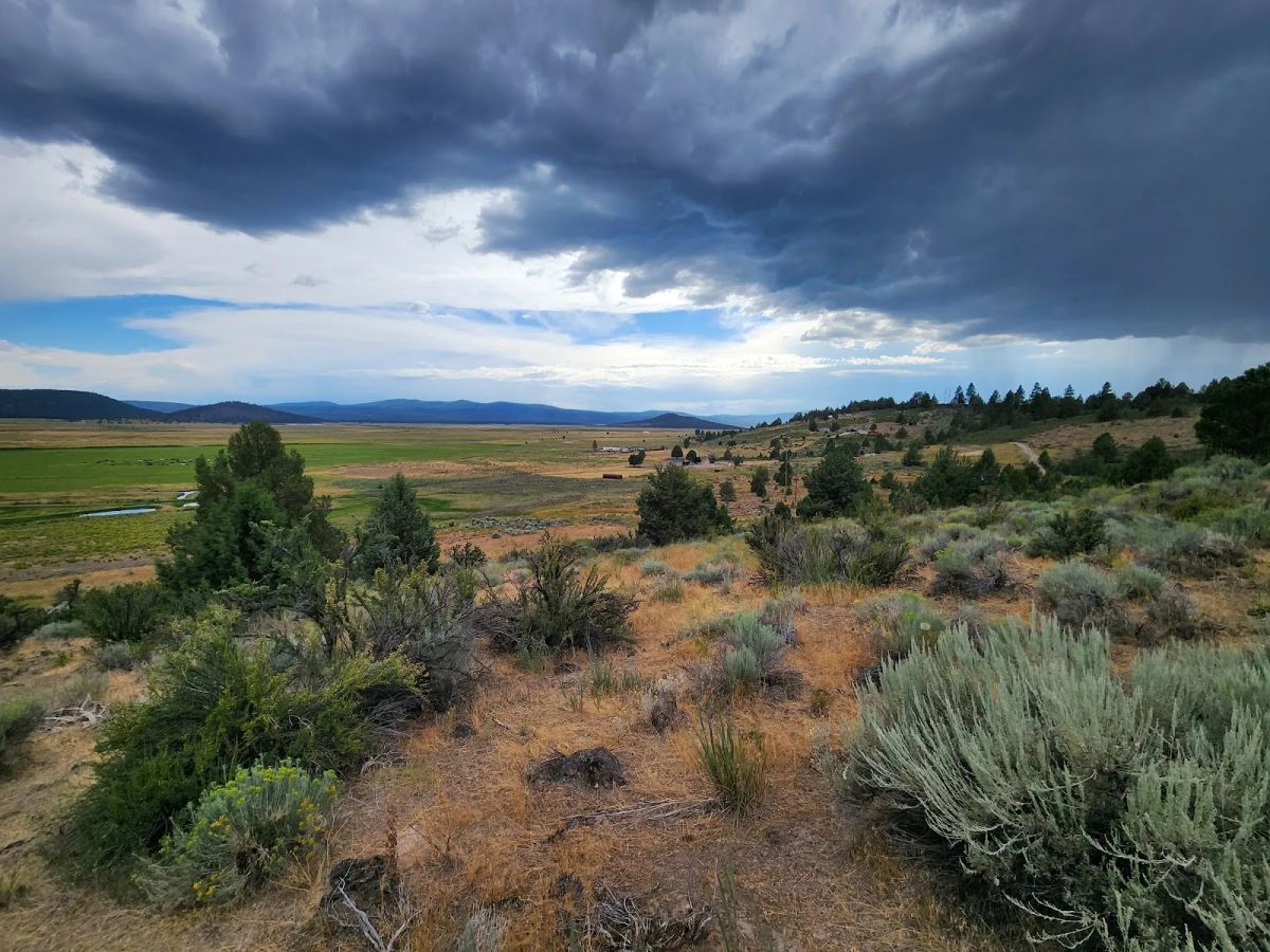 Decorative background for Double the Land, Double the Freedom — 3+ Acres in Sprague River Valley image 18