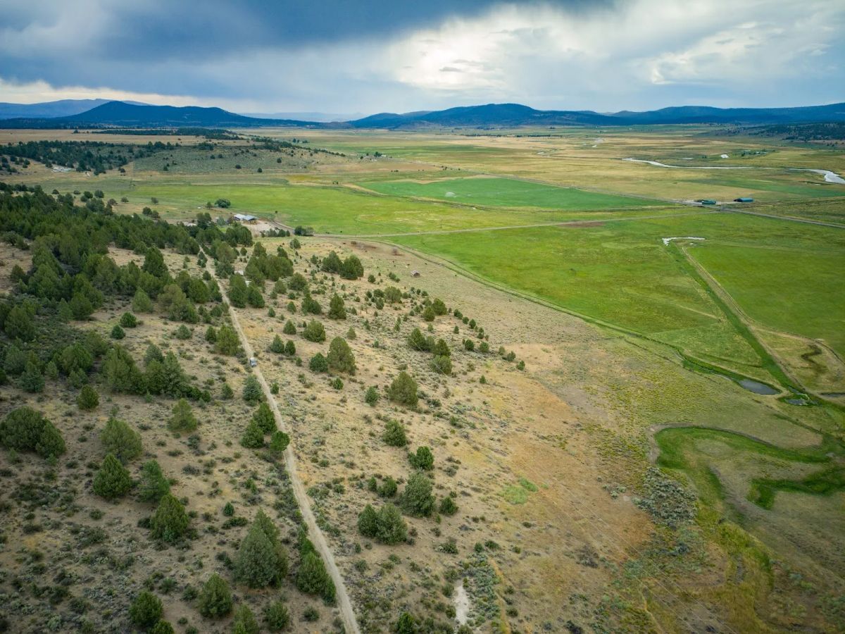 Decorative background for Double the Land, Double the Freedom — 3+ Acres in Sprague River Valley image 20