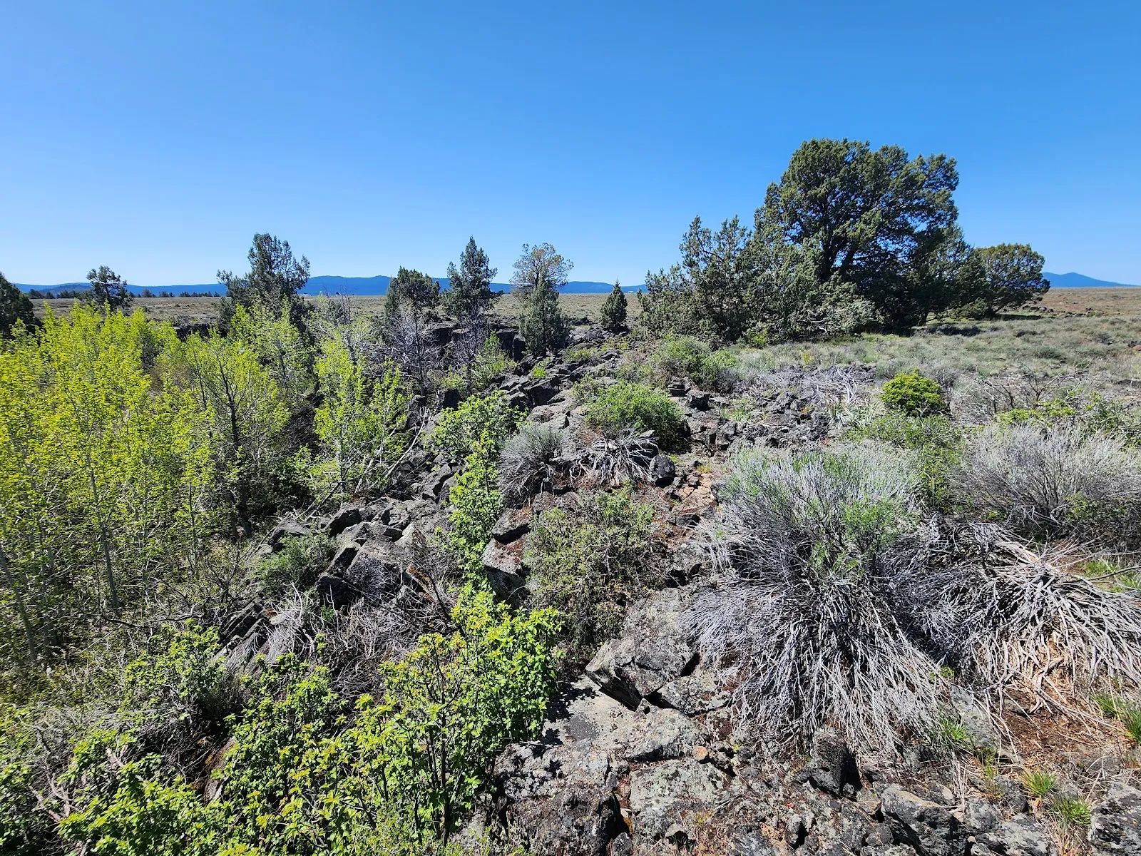 Tired of Asking Permission? 2.05 Acres in Oregon Says You Never Have To Again in Klamath County, OR