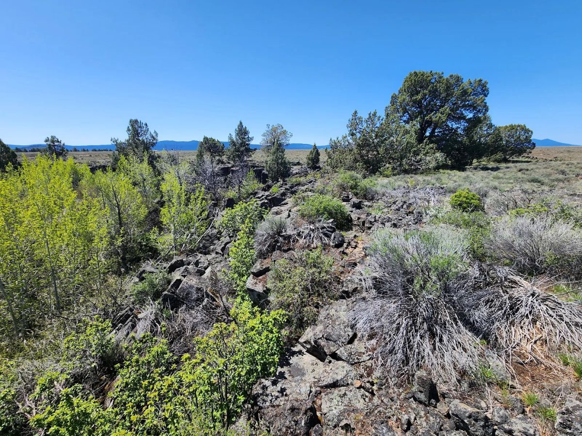 Tired of Asking Permission? 2.05 Acres in Oregon Says You Never Have To Again - Image 3