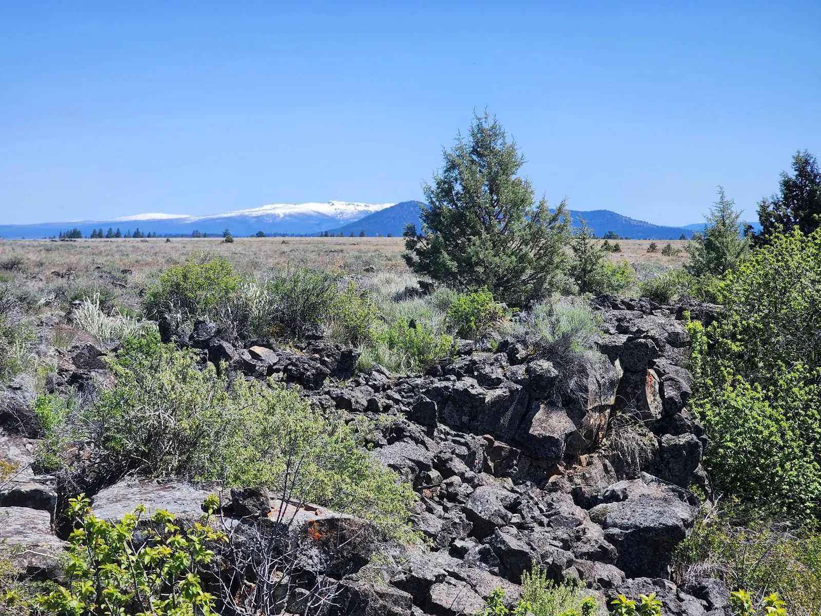 Tired of Asking Permission? 2.05 Acres in Oregon Says You Never Have To Again in Klamath County, OR