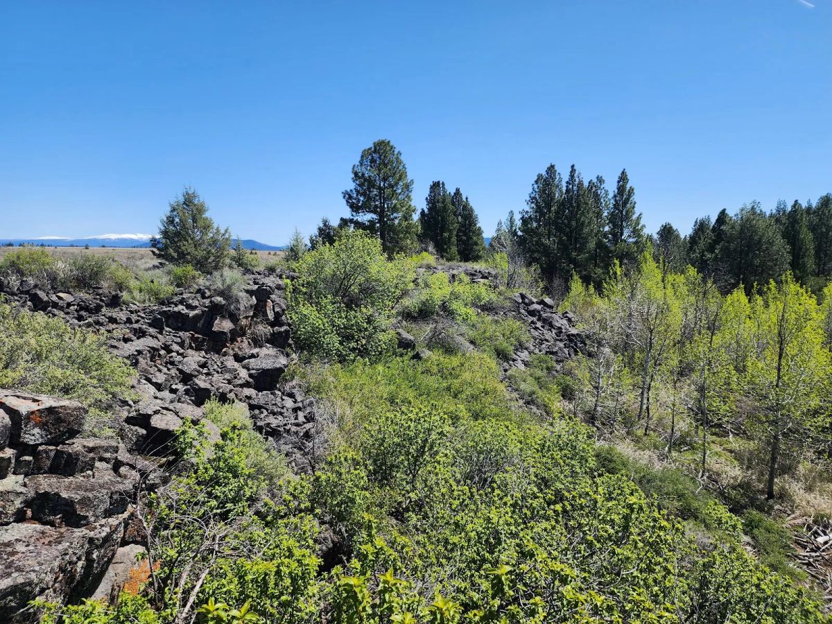 Decorative background for Tired of Asking Permission? 2.05 Acres in Oregon Says You Never Have To Again image 5
