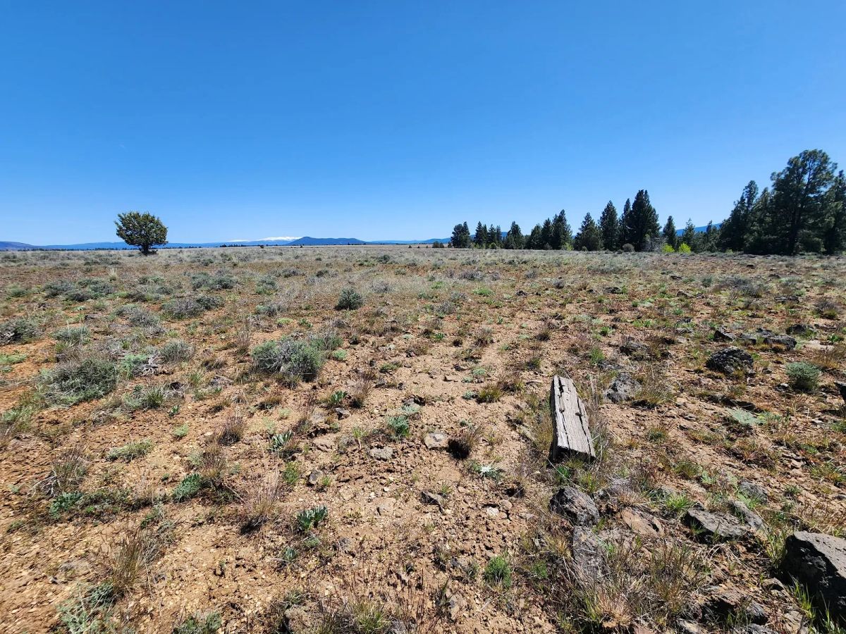 Decorative background for Tired of Asking Permission? 2.05 Acres in Oregon Says You Never Have To Again image 6