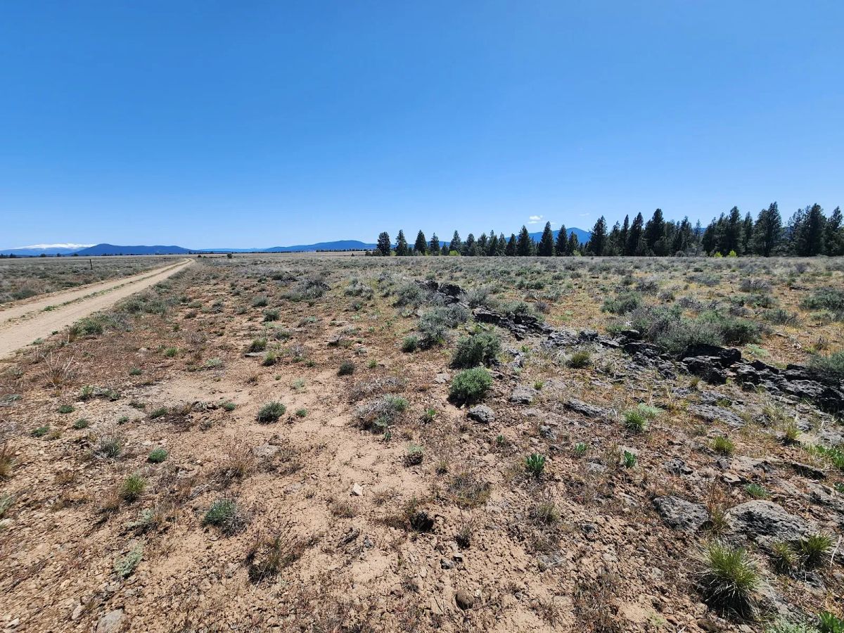 Decorative background for Tired of Asking Permission? 2.05 Acres in Oregon Says You Never Have To Again image 7