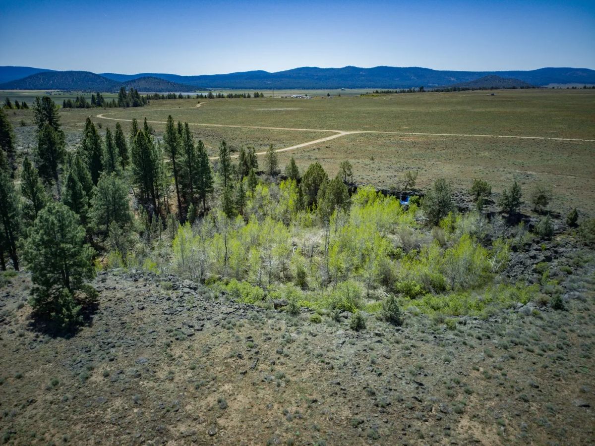 Decorative background for Tired of Asking Permission? 2.05 Acres in Oregon Says You Never Have To Again image 8