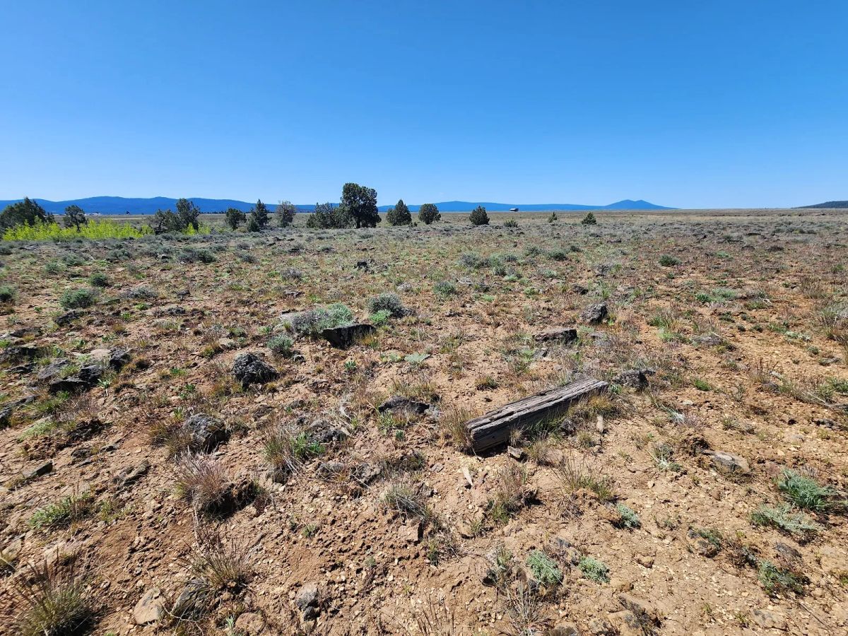 Decorative background for Tired of Asking Permission? 2.05 Acres in Oregon Says You Never Have To Again image 11
