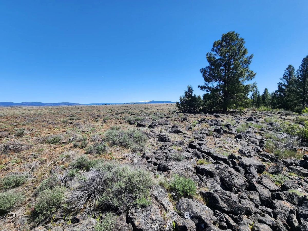 Decorative background for Tired of Asking Permission? 2.05 Acres in Oregon Says You Never Have To Again image 13